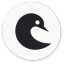 Icon for Headshot Photo