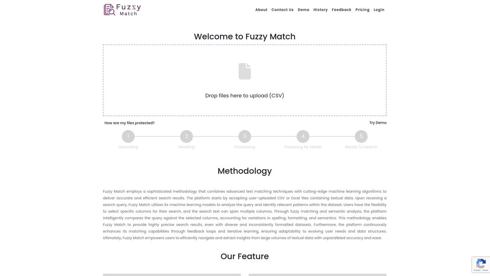 image for Fuzzy Match