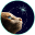 Icon for Catting