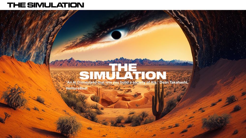 image for The Simulation