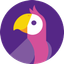 Icon for answeriq.com