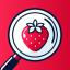 Icon for Health Inspecta