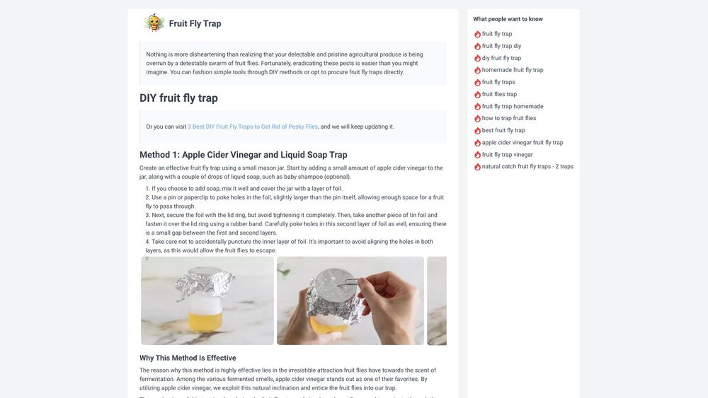 image for Fruit Fly Trap