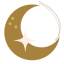 Icon for Astronov