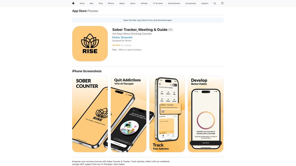 image for Sober Counter & Therapy - Rise