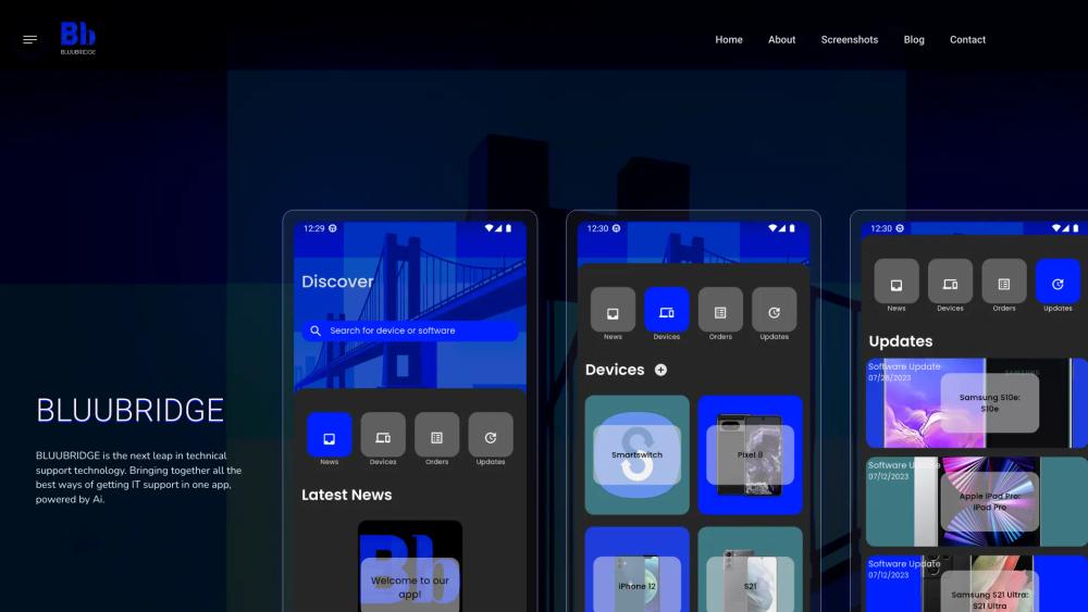image for Bluubridge