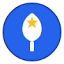 Icon for Talents.Kids