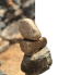 Icon for Remove Background AI