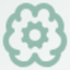 Icon for MemoryMuse