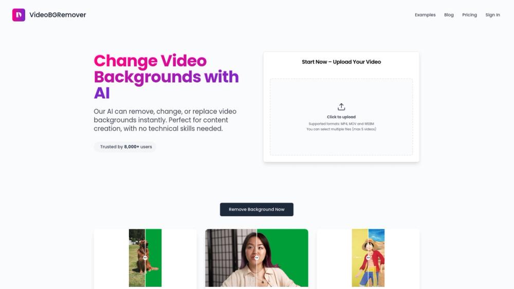 image for VideoBGRemover