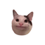 Icon for Notescast - PDF to Brainrot