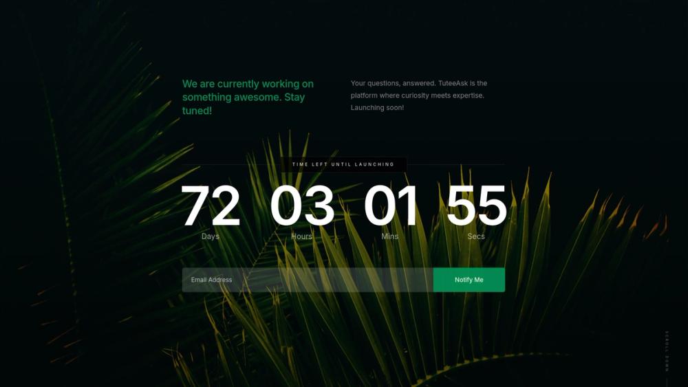 image for TuteeAsk