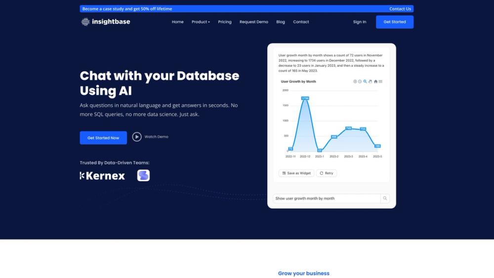 image for InsightBaseAI