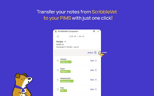 image for ScribbleVet Browser Companion