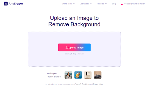 image for Image Background Remover - AnyEraser