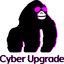 Icon for Cyber Upgrade