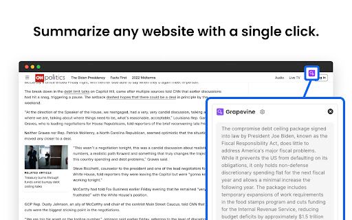 image for Grapevine: Web & YouTube Summary with ChatGPT