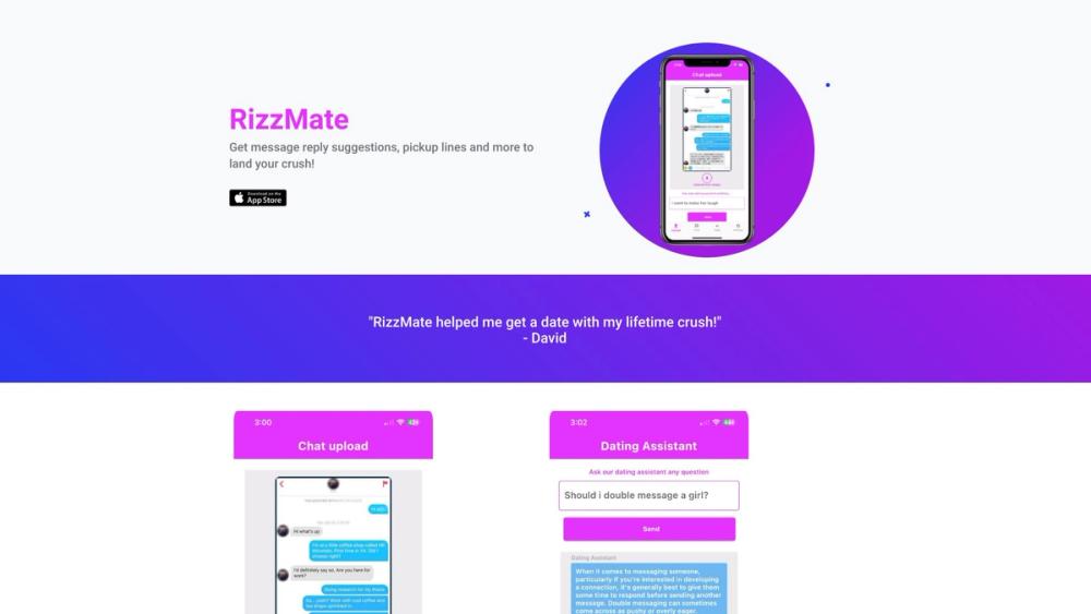 image for RizzMate