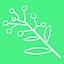 Icon for Wattle