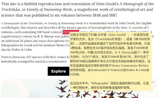 image for Fanyi: Contextual Translation