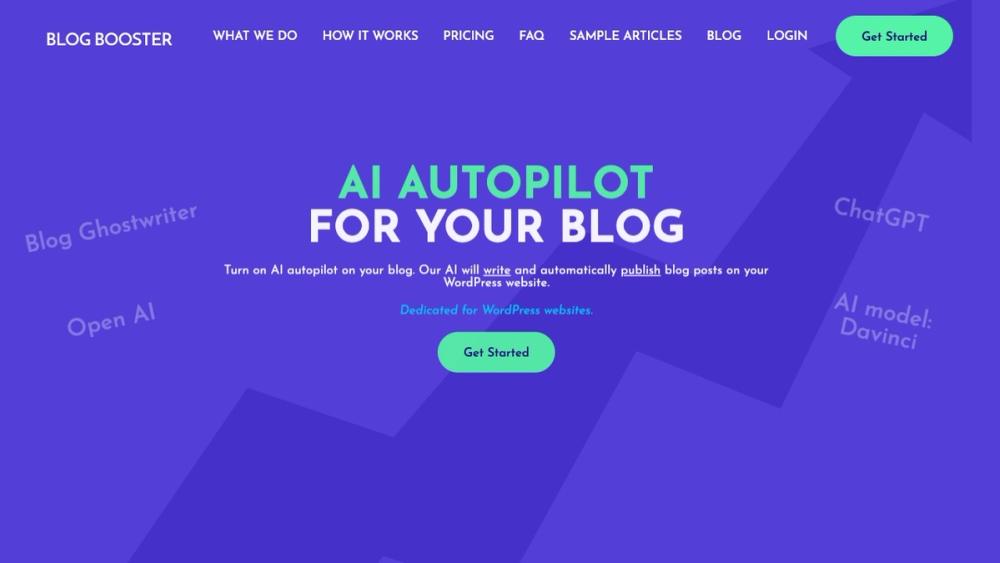 image for Blog Booster