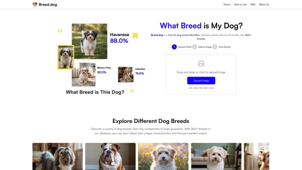 image for Breed.dog - AI Dog Breed Identifier