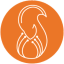 Icon for squirai.com