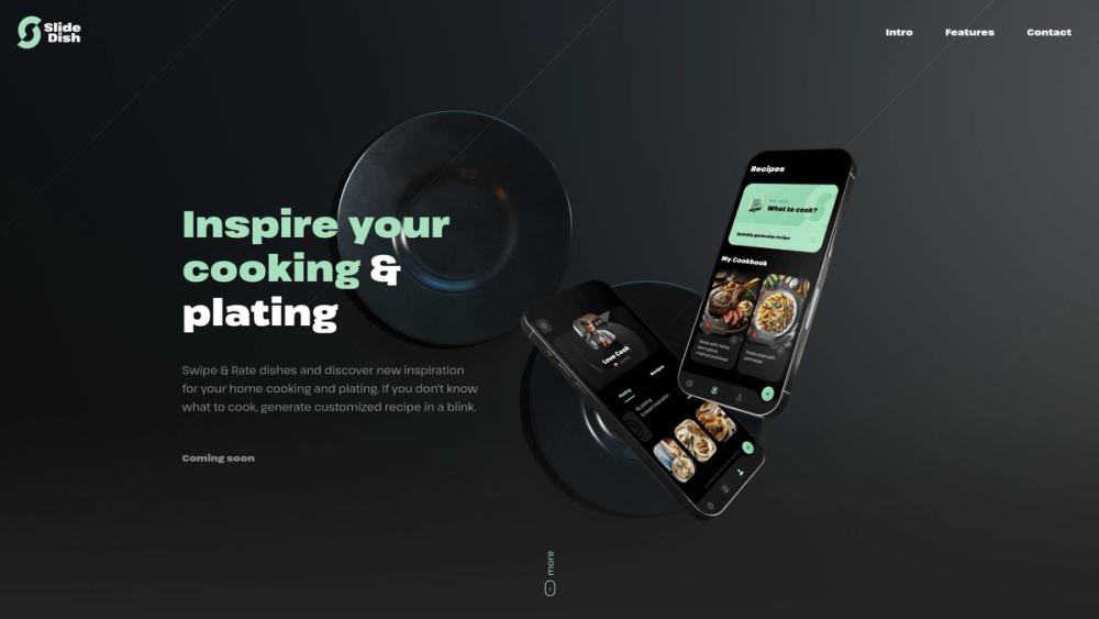 image for Slide Dish: cooking & plating