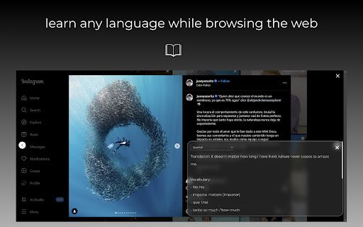 image for BrowserTranslate