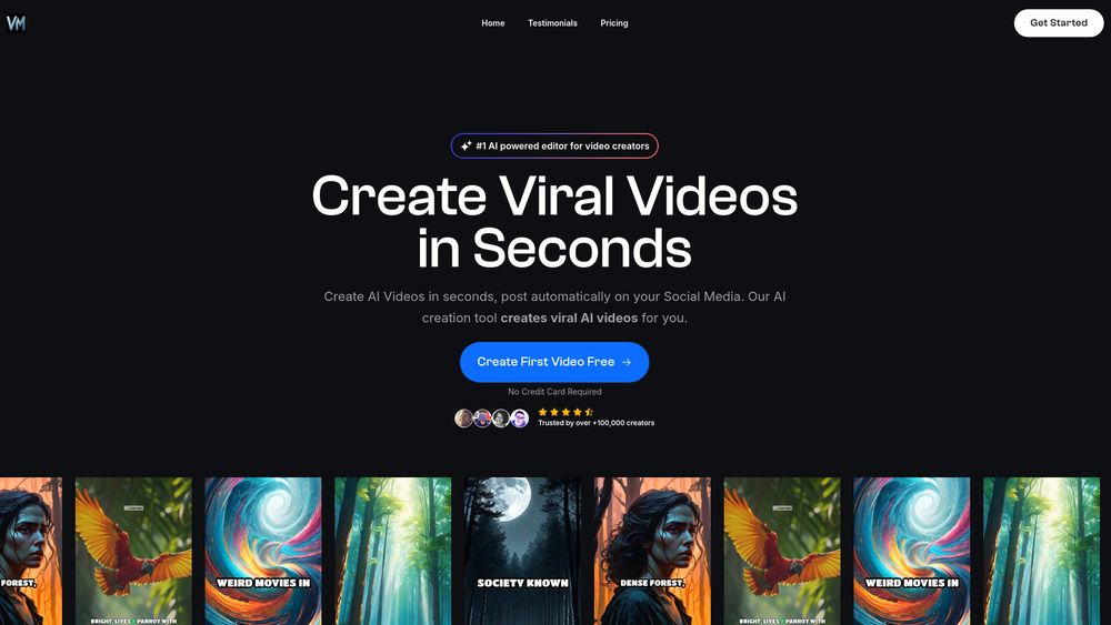 image for VidMax