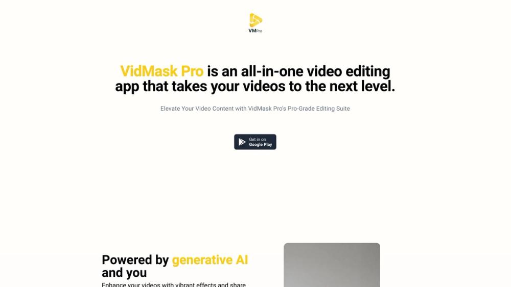 image for VidMaskPro