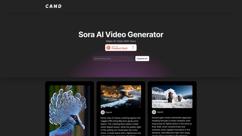 image for sora cand