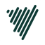 Icon for Voicenotes.com