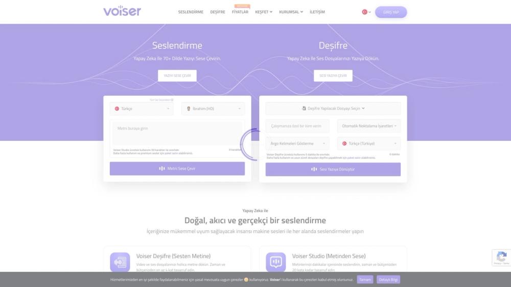 image for Voiser