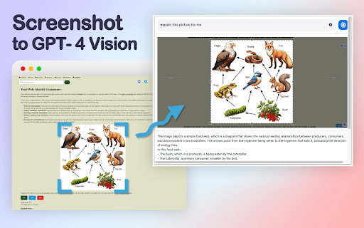 image for GPT-4 Vision Screenshot