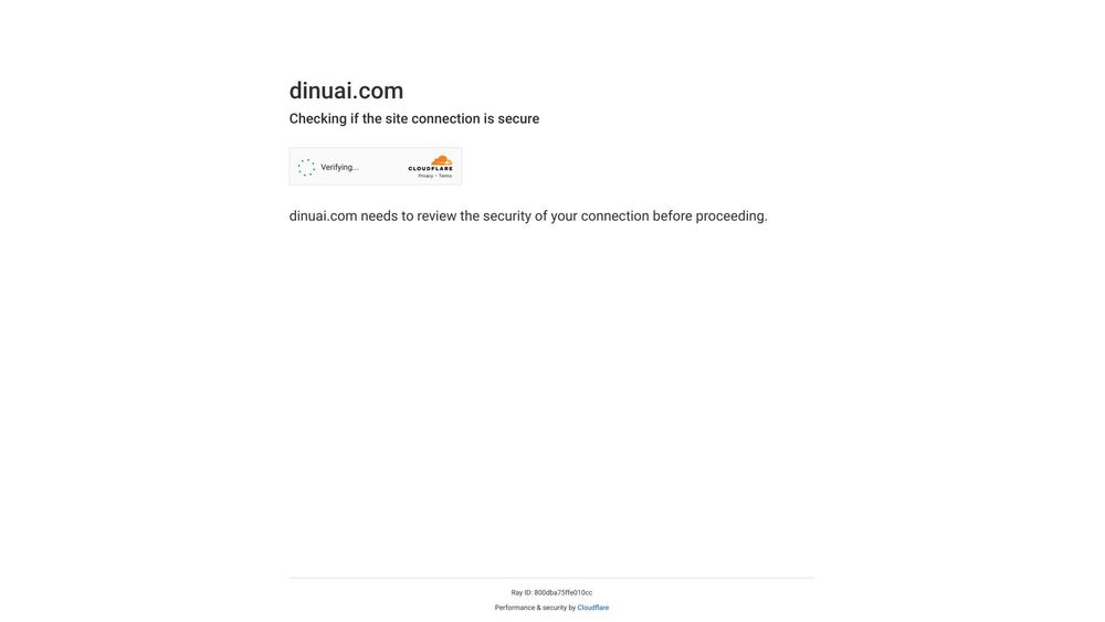 image for DinuAI