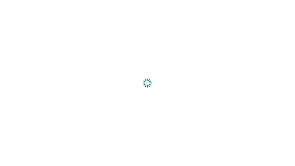 image for TreeBrain - AI for  Shopify & Amazon FBA