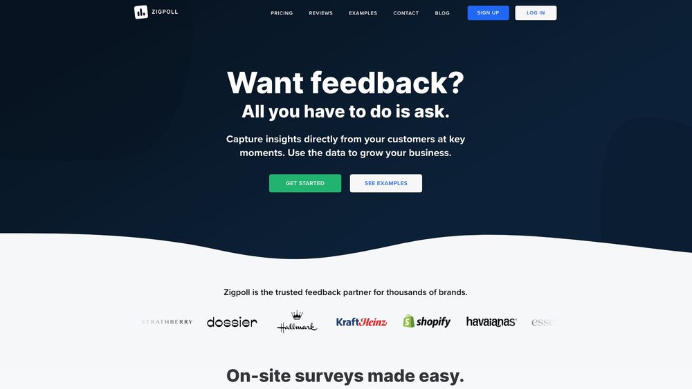 image for Zigpoll AI