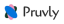 Icon for Pruvly AI