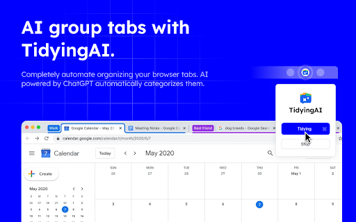 image for TidyingAI