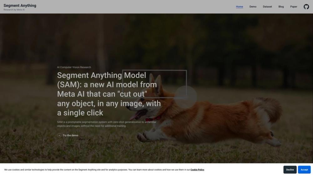 image for Segment Anything