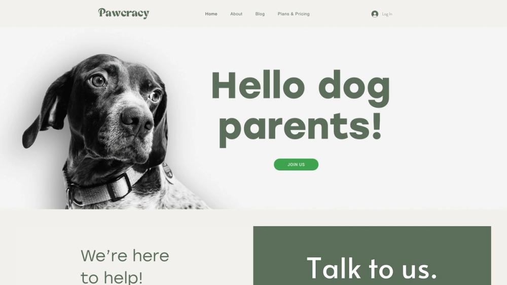image for Pawcracy