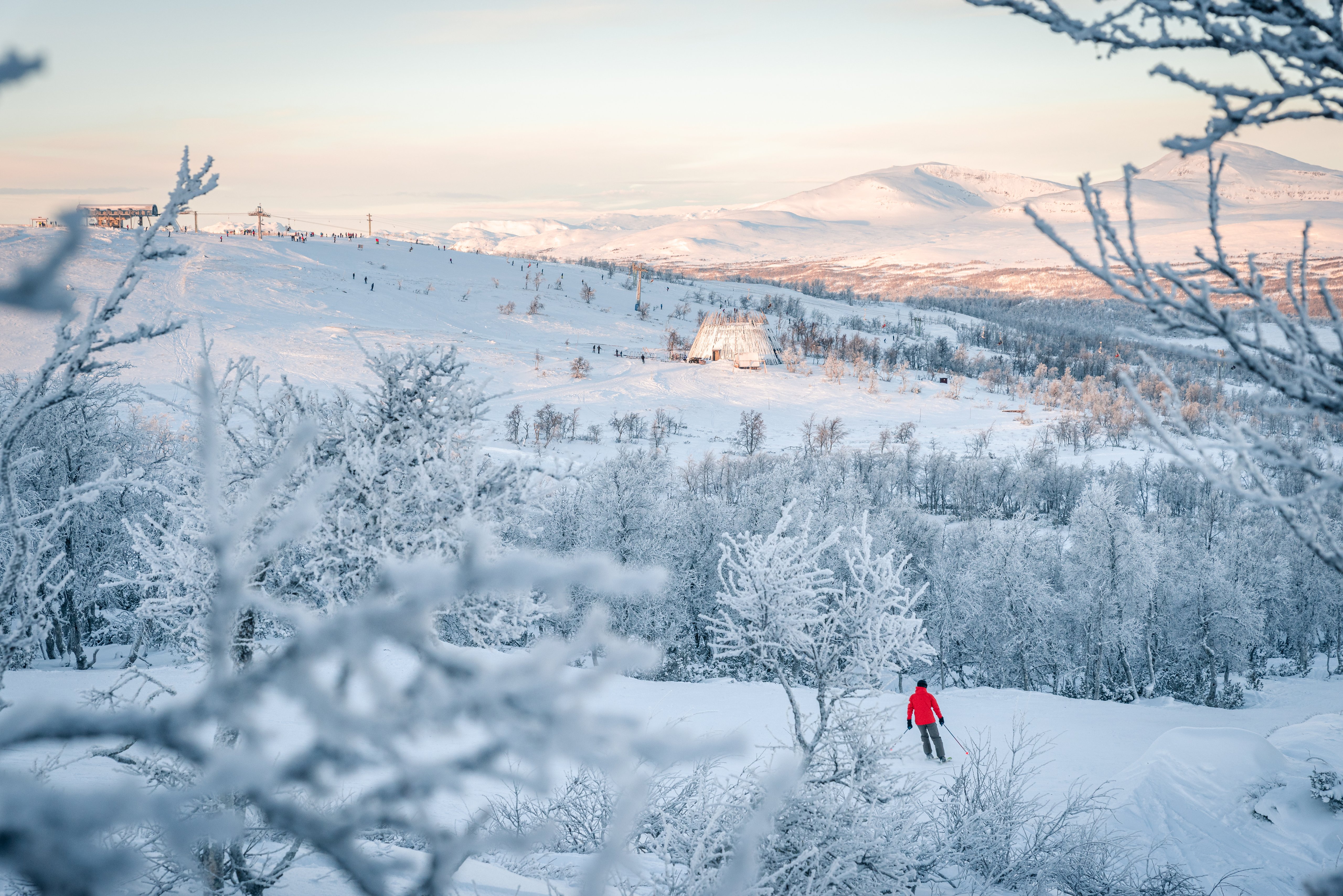 A skier in a red jacket descends a snow-covered slope through frosted trees, with a distant ski resort and mountains.