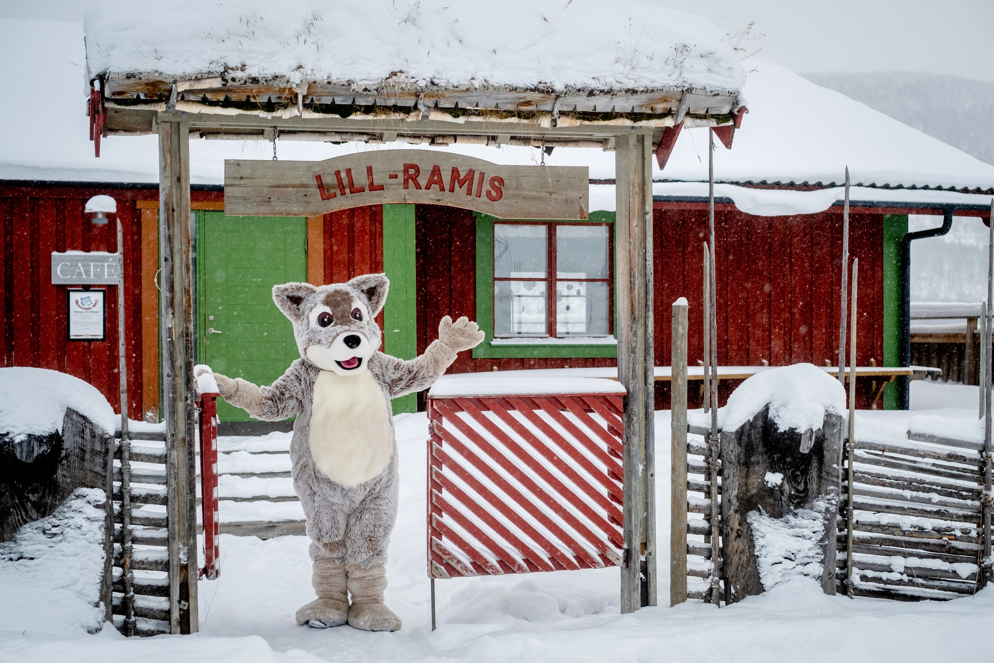Maskoten fjällräven Mickelina står i snön.