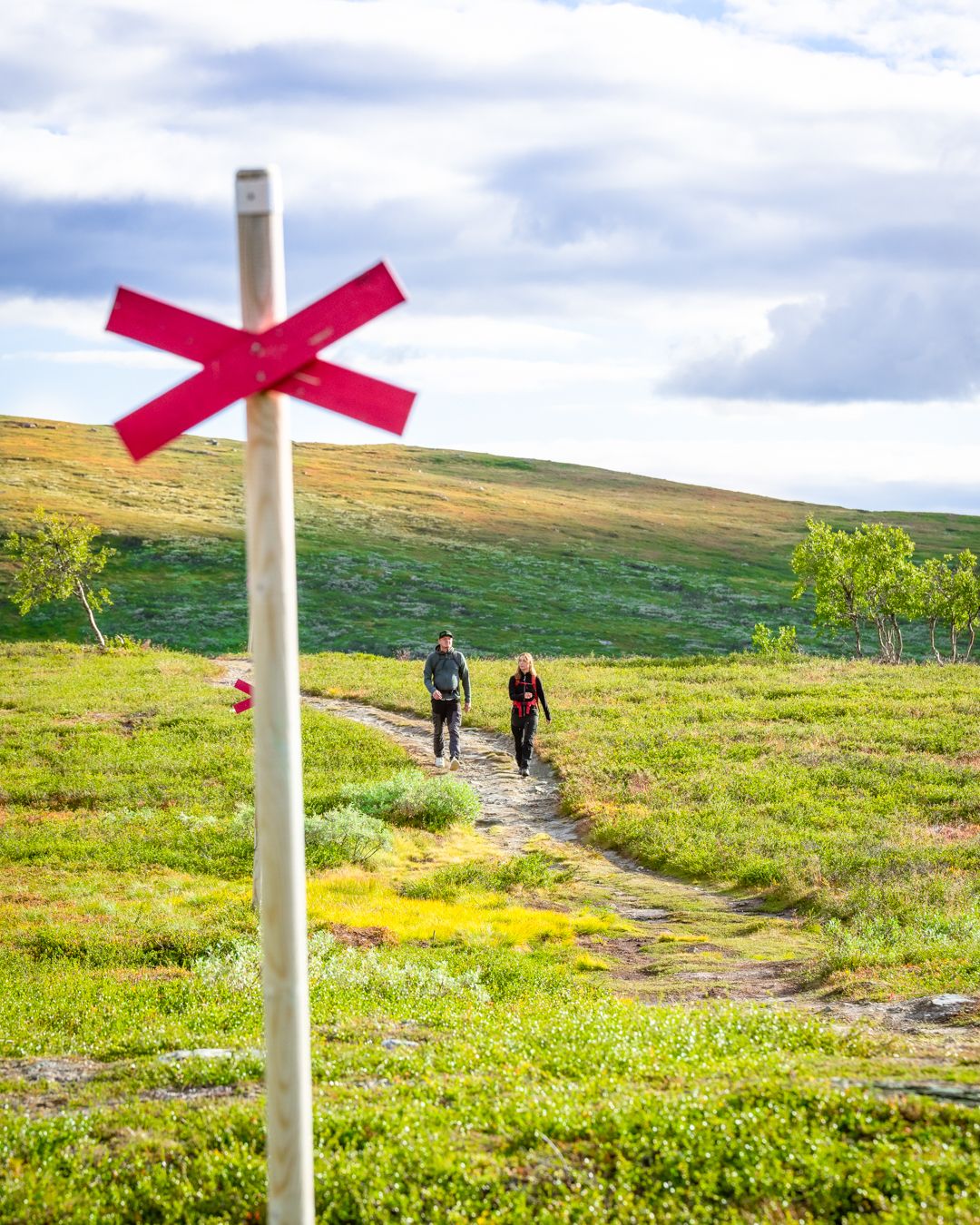 Några personer som går längs en stig.