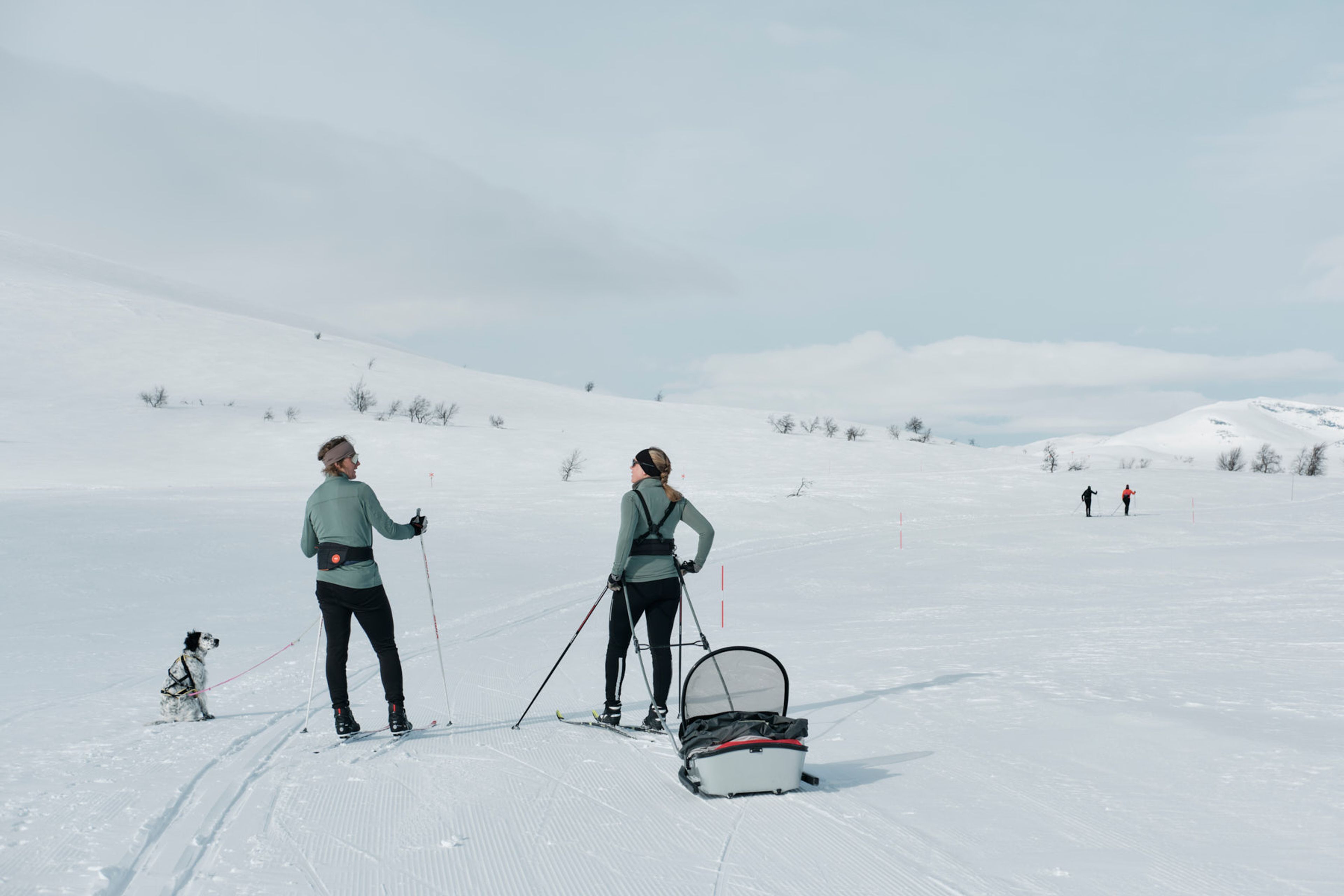 Två personer som åker längdskidor i fjällen med hund och fjällpulka.