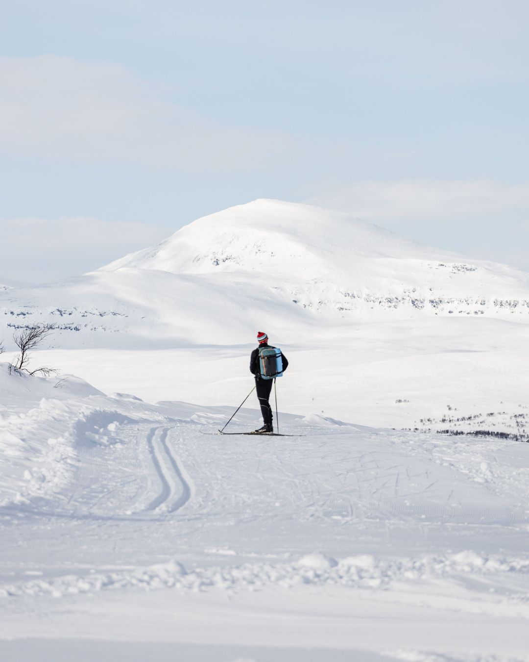 En längdskidåkare som står i ett fjällandskap