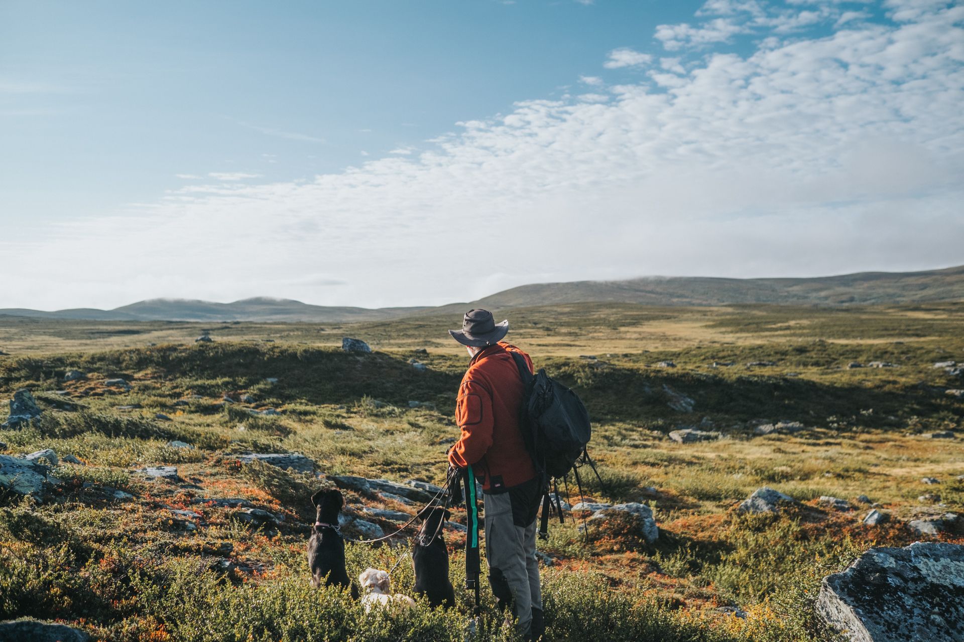 En man med en ryggsäck och två hundar på ett fjäll.