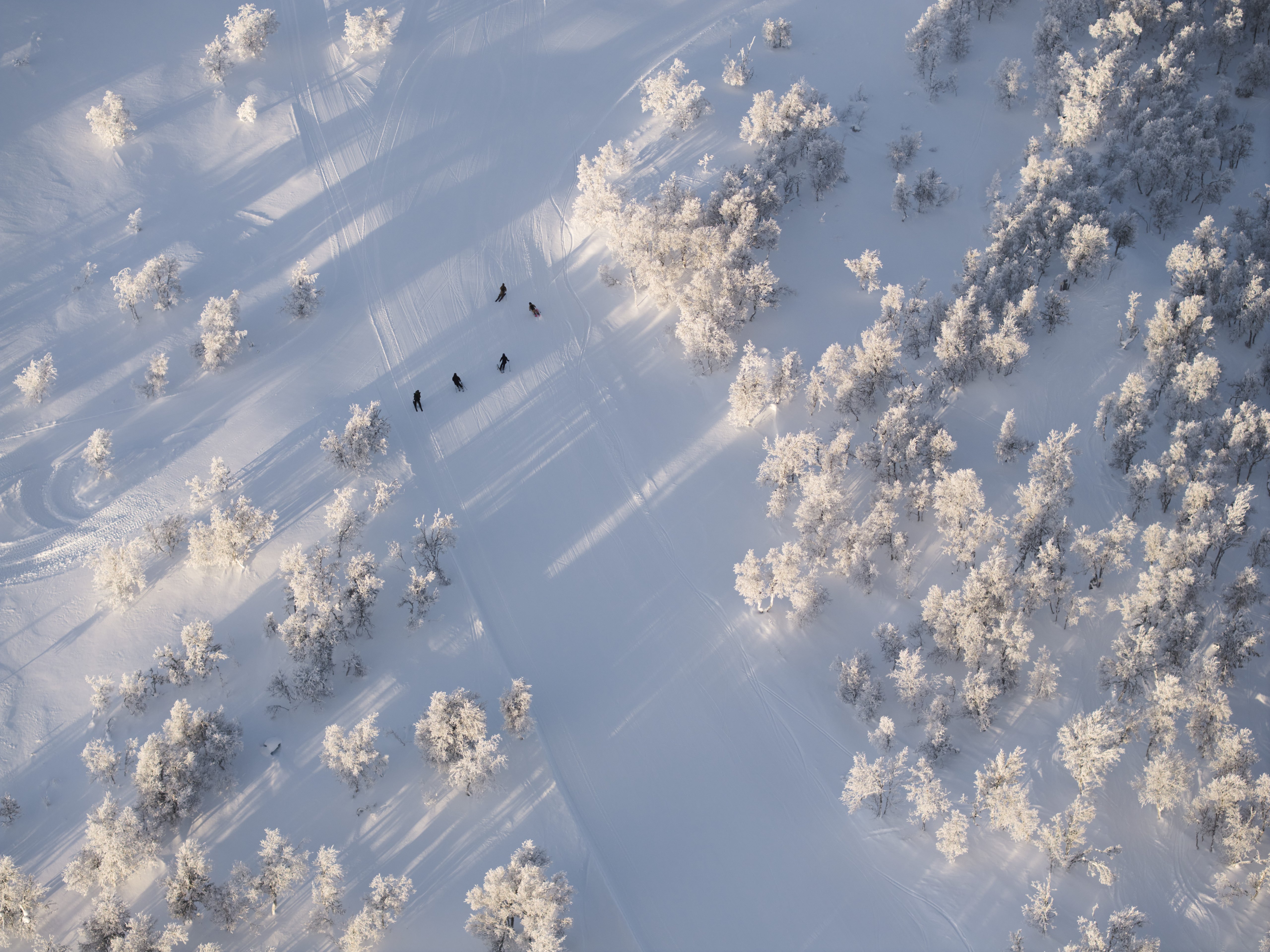 Aerial view of five people skiing across a snowy landscape with frost-covered trees and long shadows.