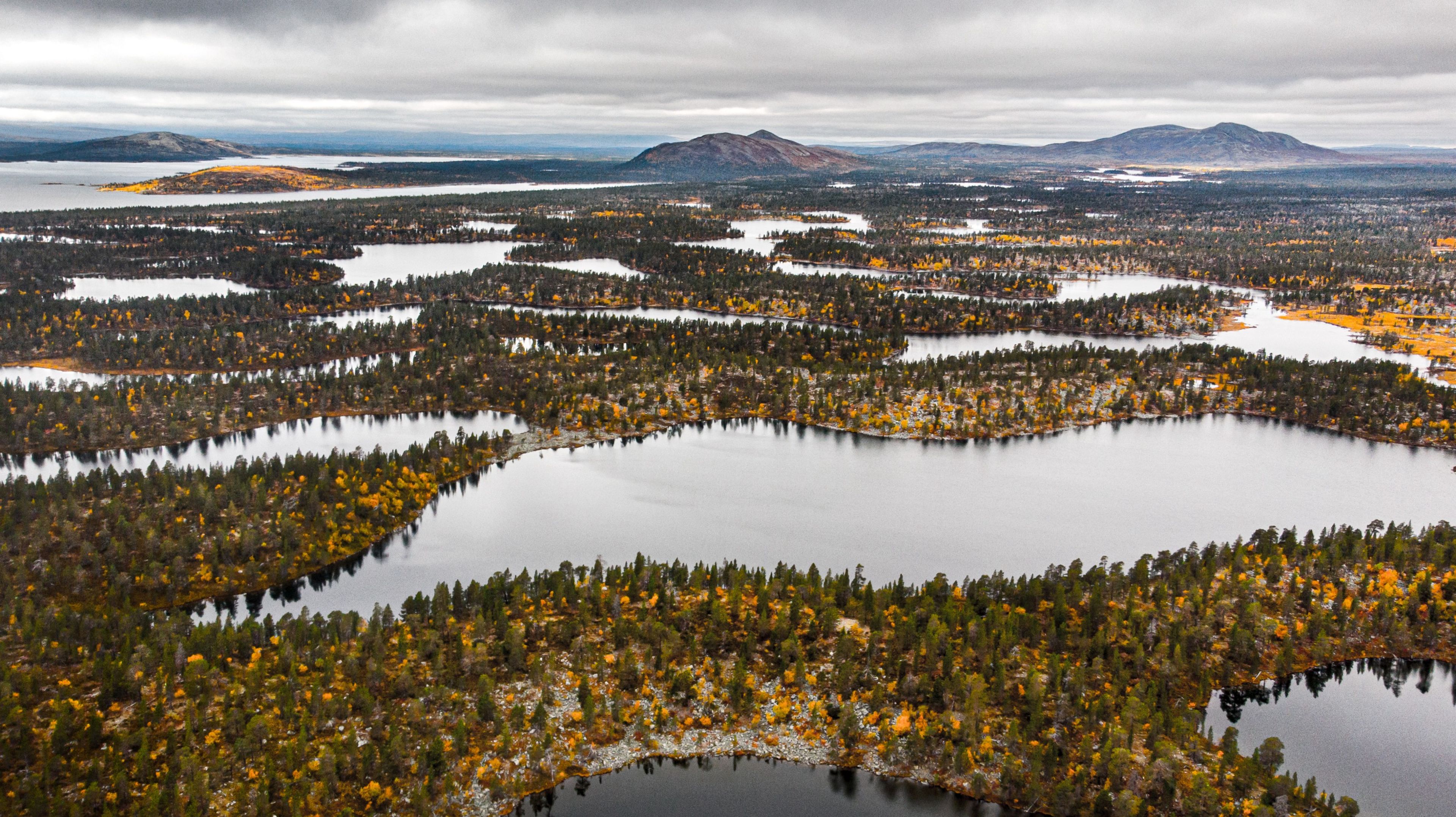 En flygbild av flera små sjöar omgivna av träd.